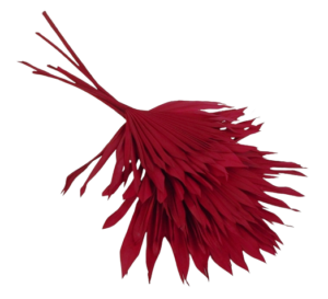 Sun Palm Red x 6pcs-0