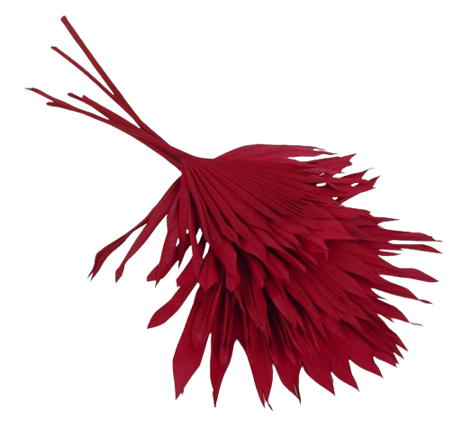 Sun Palm Red x 6pcs-0
