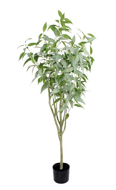 160cm Blue Gum Tree Green