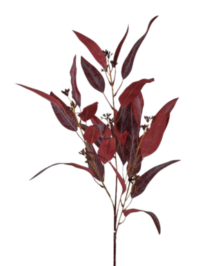 Eucalyptus Nicolii Spray 84cm Burgundy-0