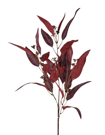 Eucalyptus Nicolii Spray 84cm Burgundy-0