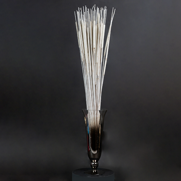 Typha Medium White x 50-23378