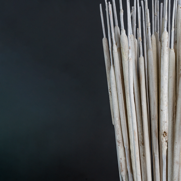 Typha Medium White x 50-23380