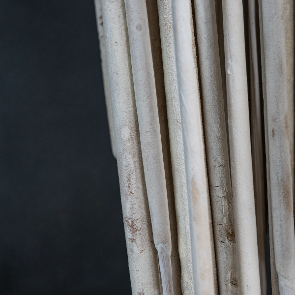 Typha Medium White x 50-23382
