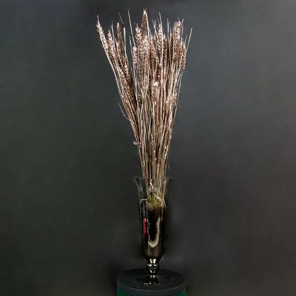 Wheat Champagne-23383