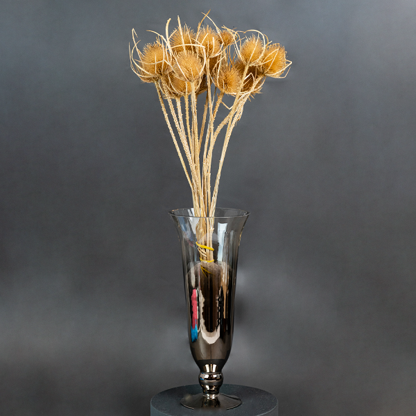 Natural Thistle Bunch-23396