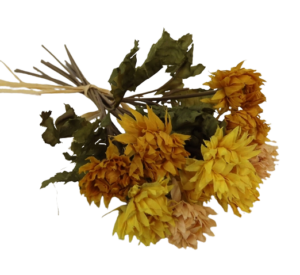 Vintage Strawflower Bundle 30cm Yellow-0
