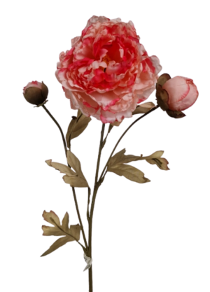Vintage Oriental Peony Spray Light Pink-0