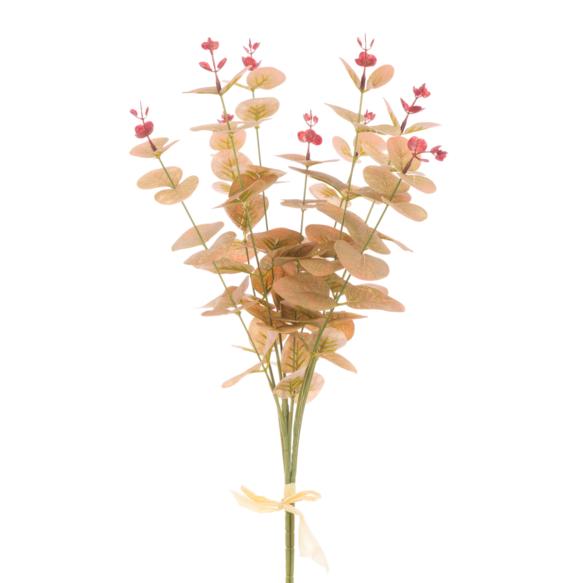Eucalyptus W/Berries Bundle 50cm Light Green-0