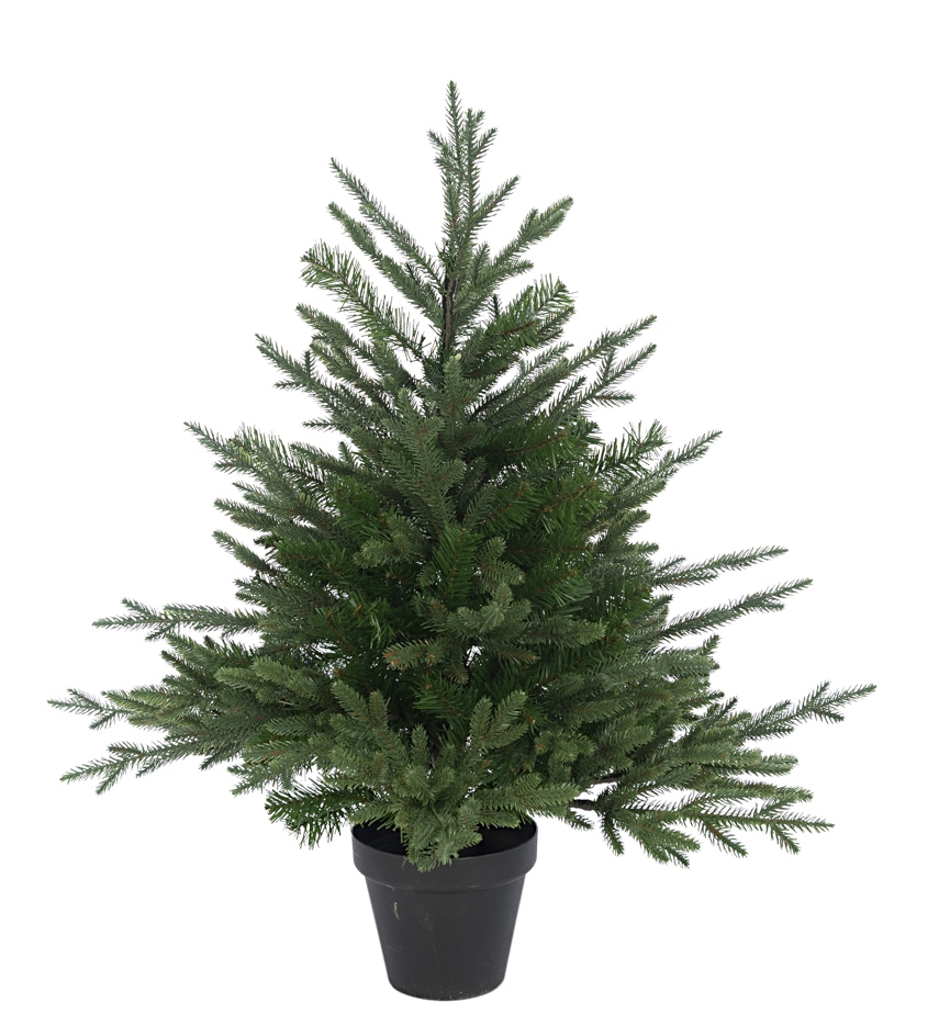 Newhaven Pine Potted 3'-0
