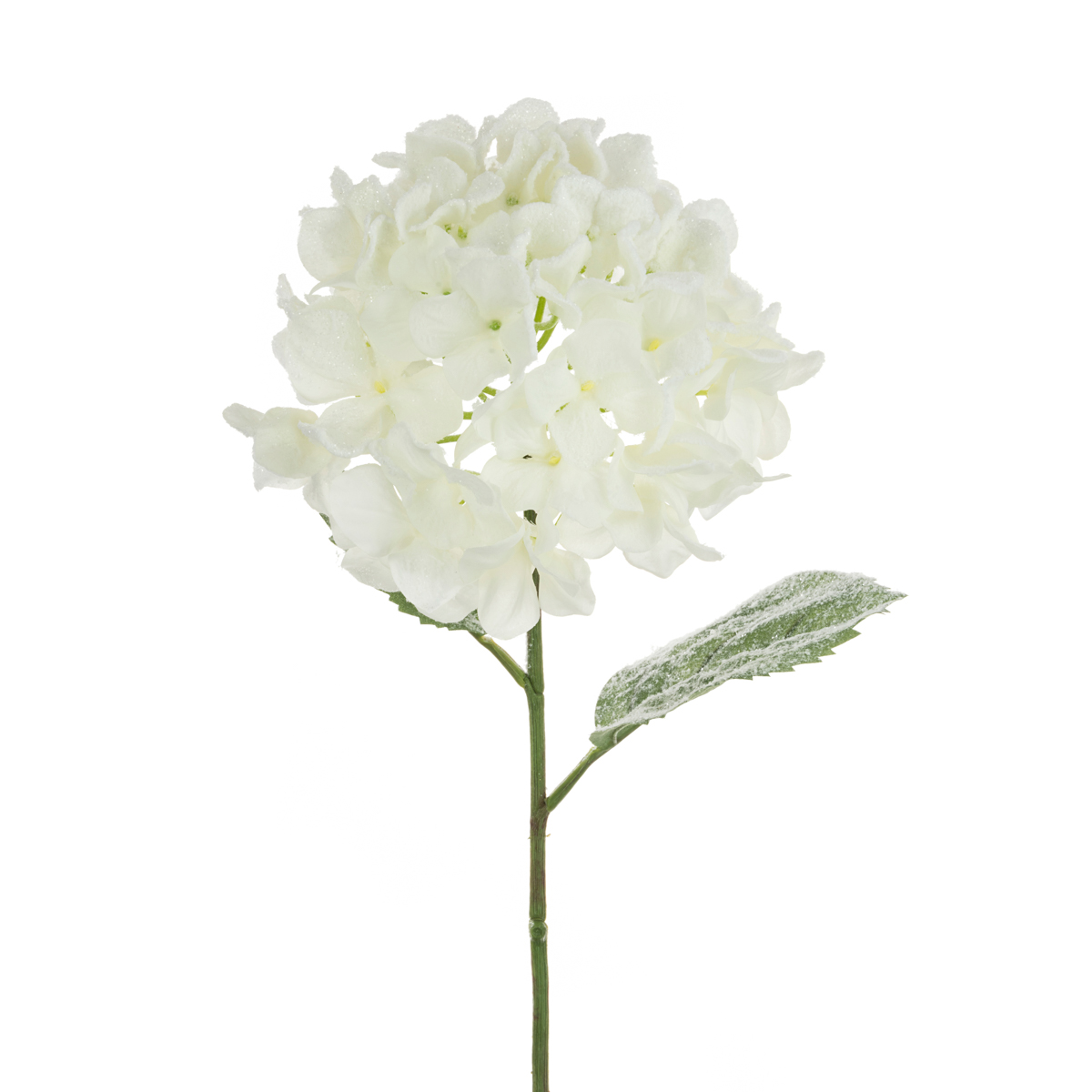 Snowstorm Hydrangea 69cm-0