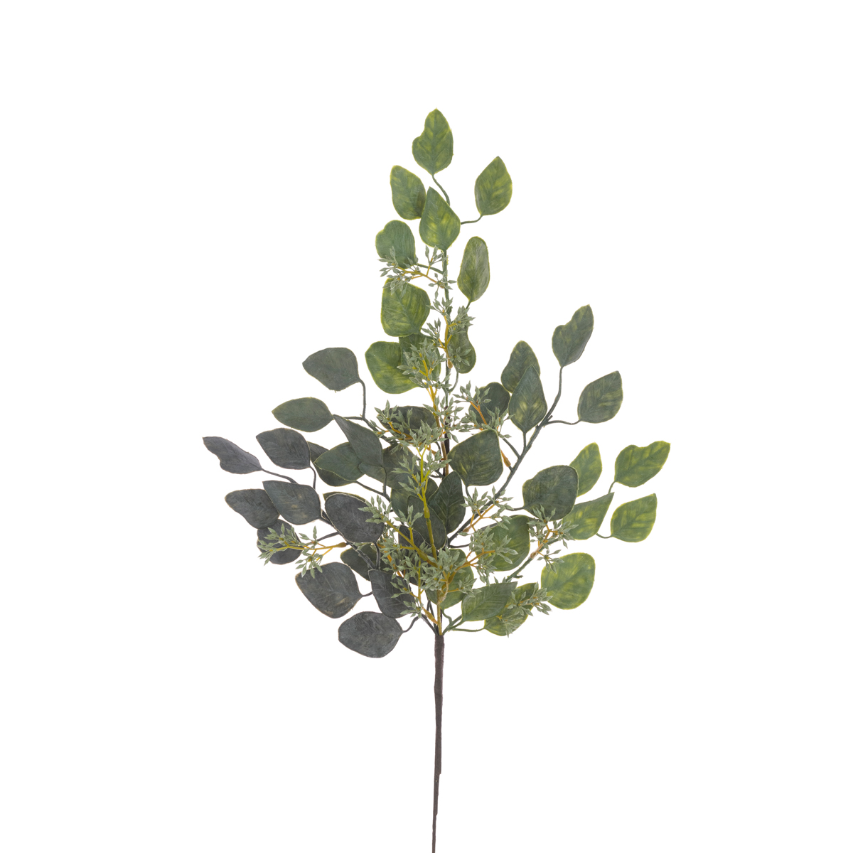 Gleethorpe Eucalyptus Spray 60cm-0