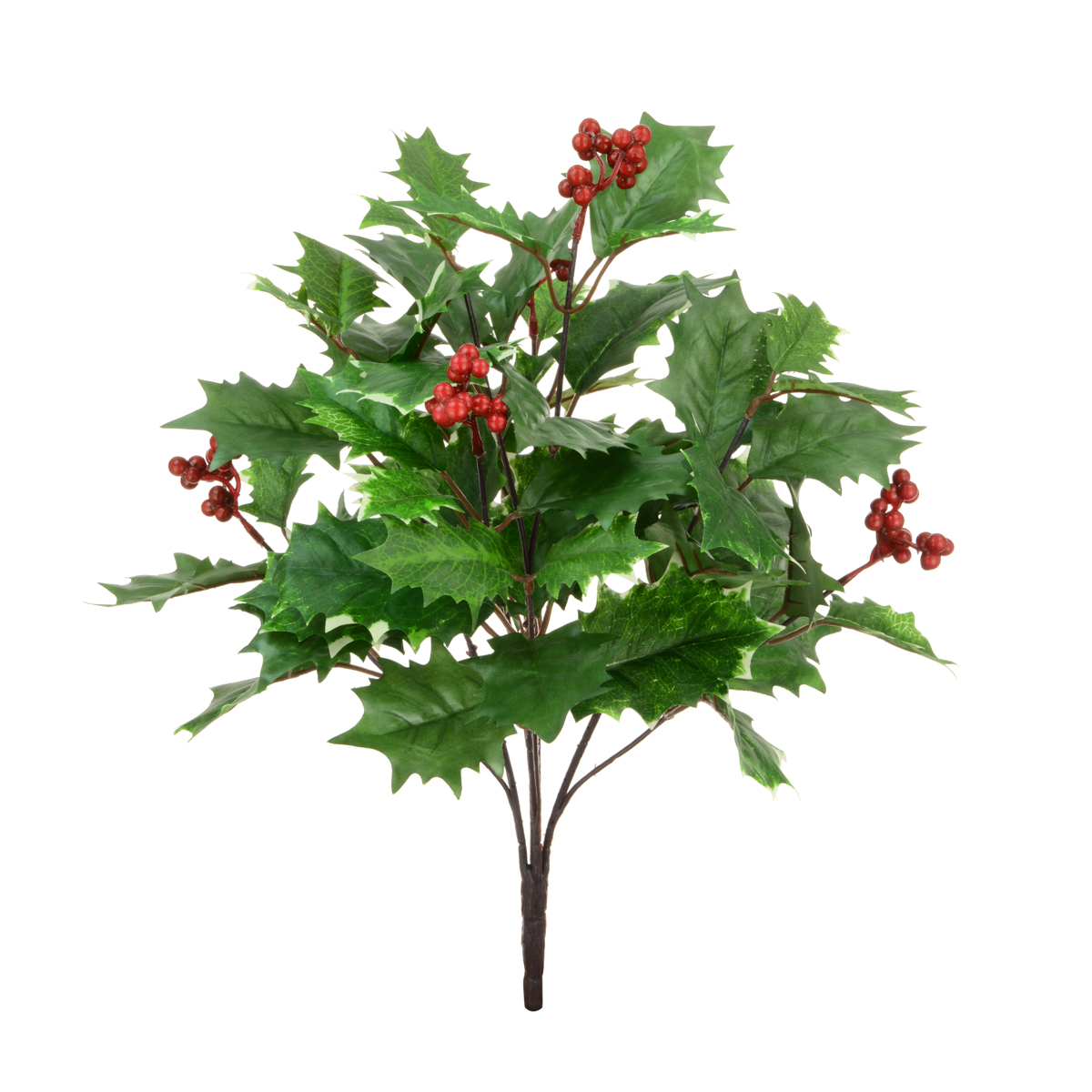 Holly Bush w/Berries 48cm Variegated-0