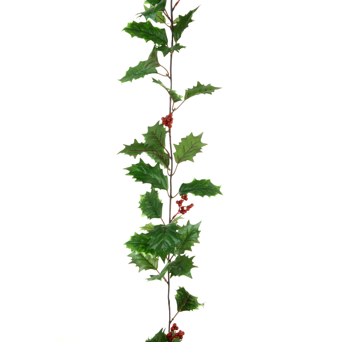 Holly Garland w/Berries 180cm Variegated-0