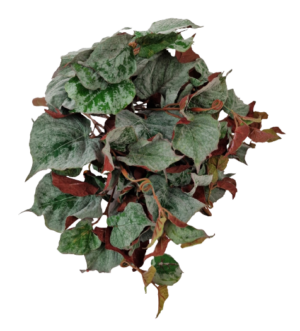 Flocked Autumn Maple Ivy Bush-0