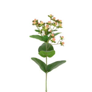 Hypericum 72cm Pink-0