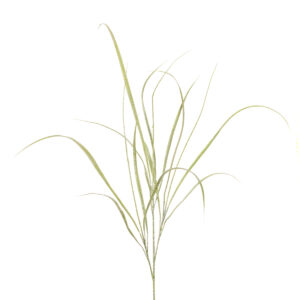 Sparkle Grass Spray 107cm Green-0