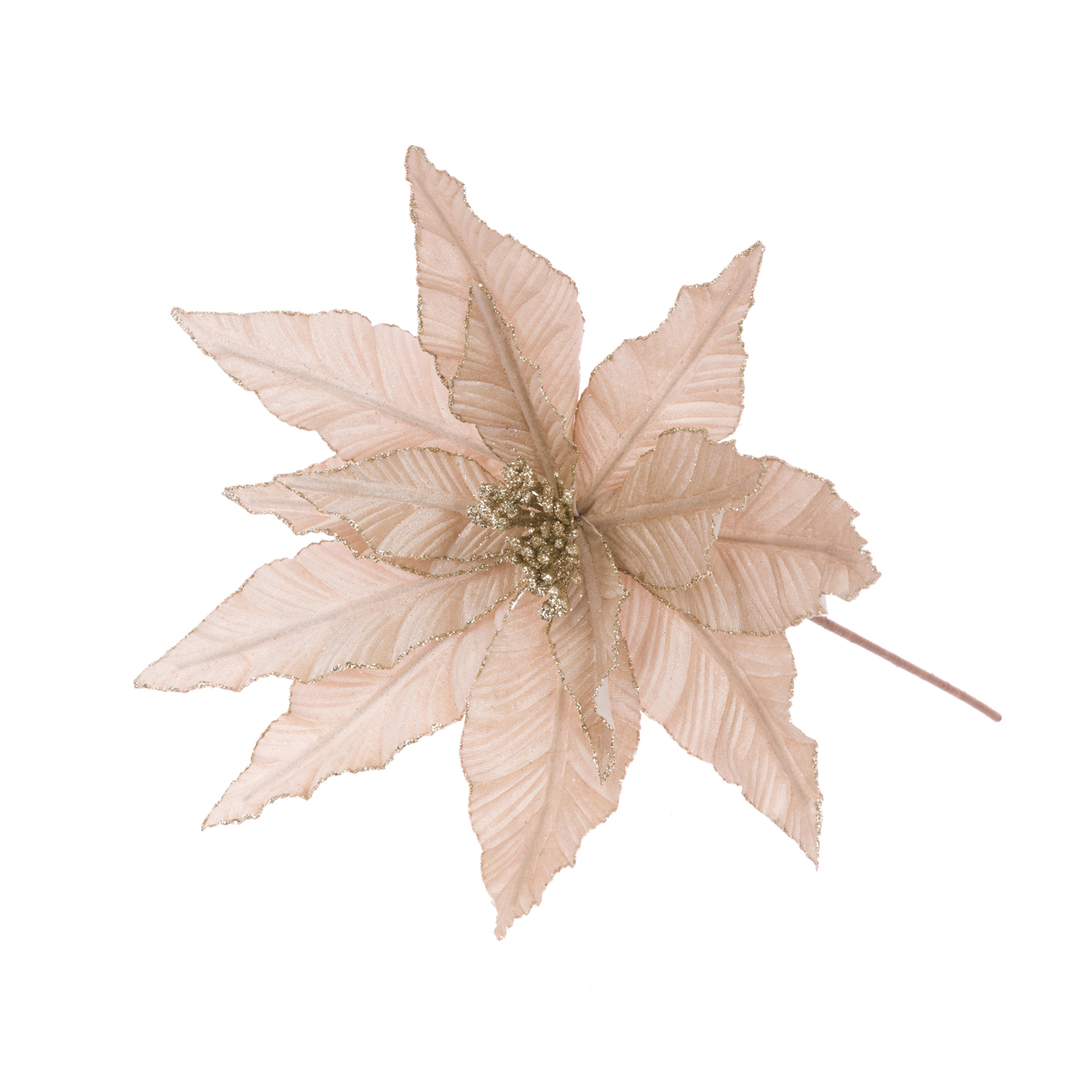 Glitter Tipped Poinsettia 70cm Champagne-0