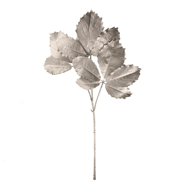89cm Painted Cryptotaenia Japonica Spray Silver-0