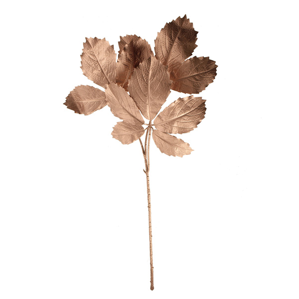 89cm Painted Cryptotaenia Japonica Spray Rose Gold-0