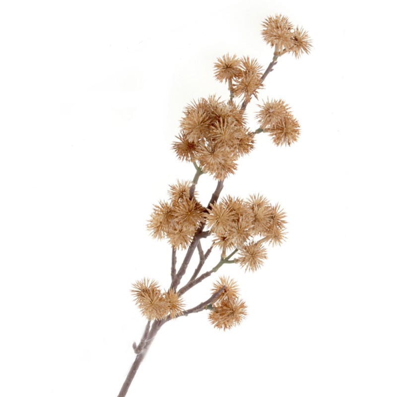 Echinops Spray - Brown (68cm long)-0