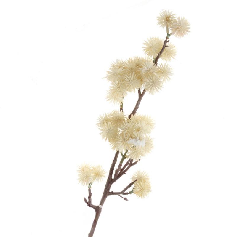 Echinops Spray - Cream (68cm long)-0