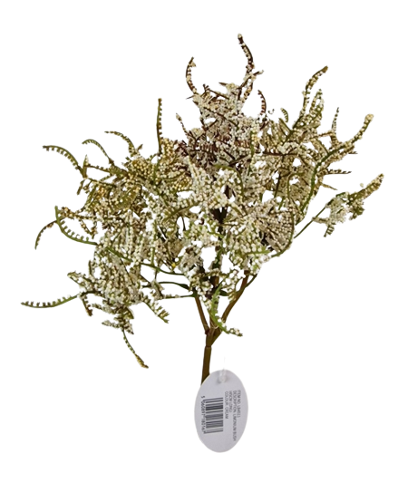 Limonium Bush Cream (45cm) Cream-0
