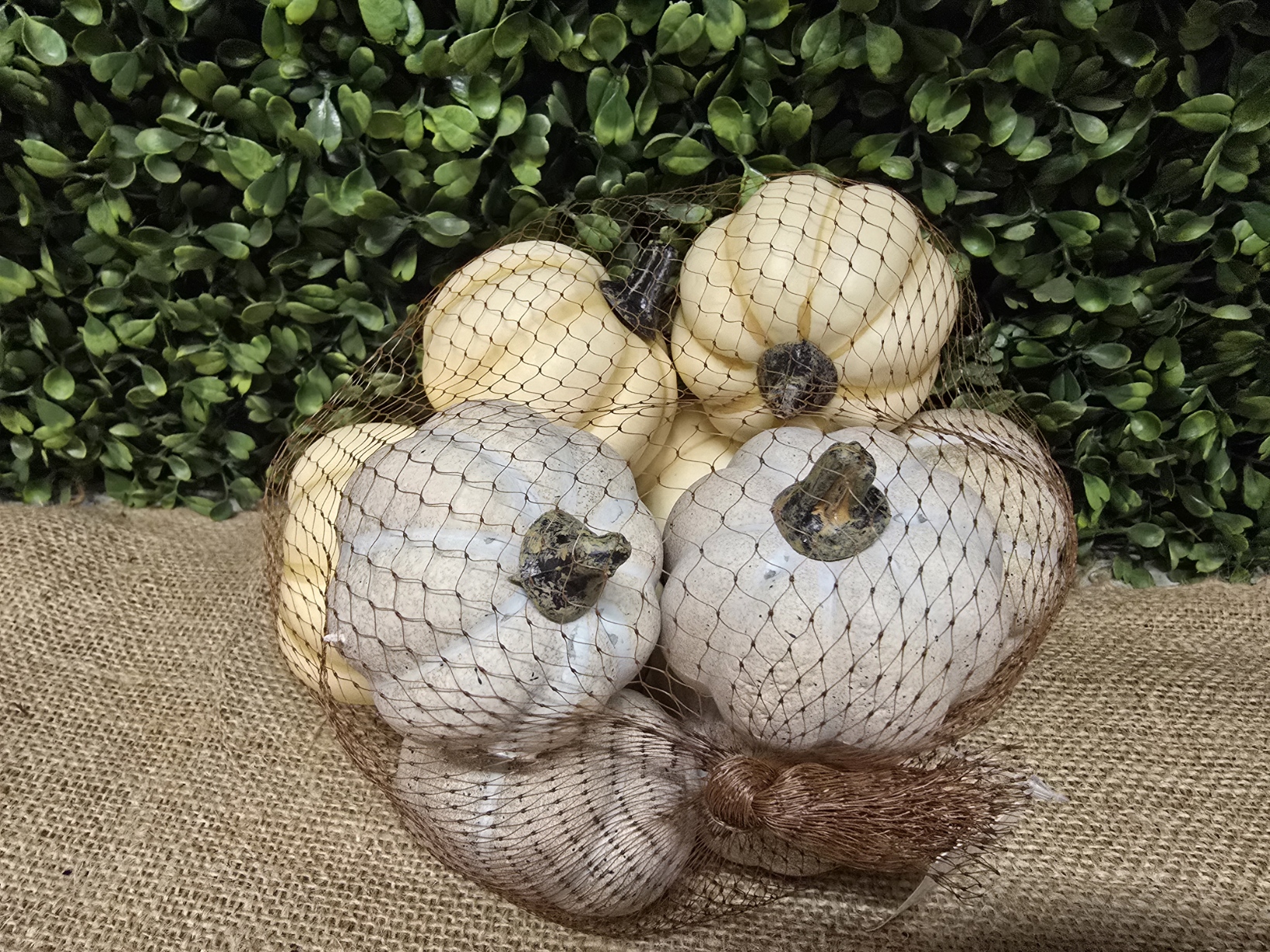 6cm Artificial Cream/Grey Pumpkins In Net x 10