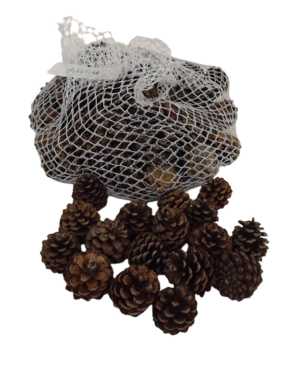 Pinus Mugos In Net Natural x 500g-0