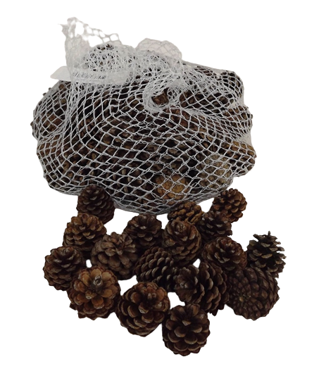 Pinus Mugos In Net Natural x 500g-0
