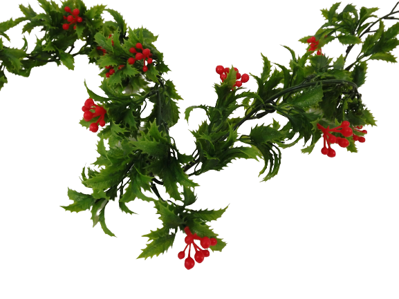 Plain Holly Garland (190cm)-0