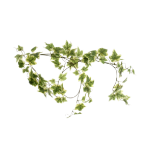 Ivy Garland Variegated 150cm-0