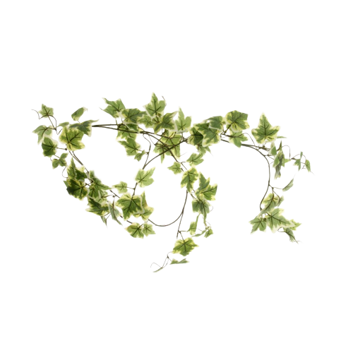 Ivy Garland Variegated 150cm-0