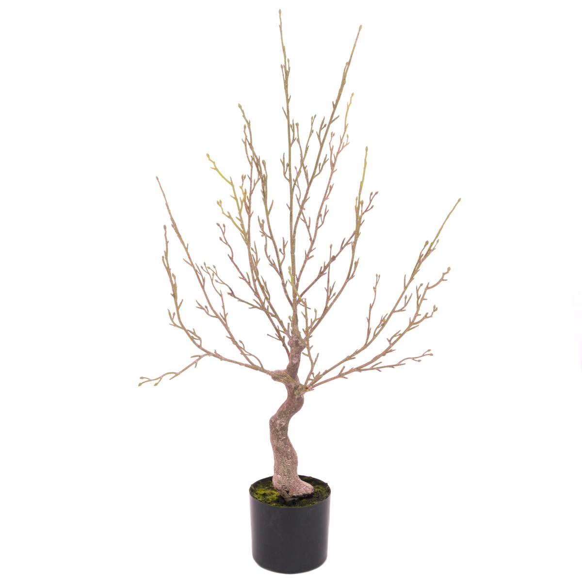 Natural Twig Tree In Pot 90cm-0