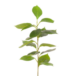 Hydrangea Leaf Spray 91cm-0