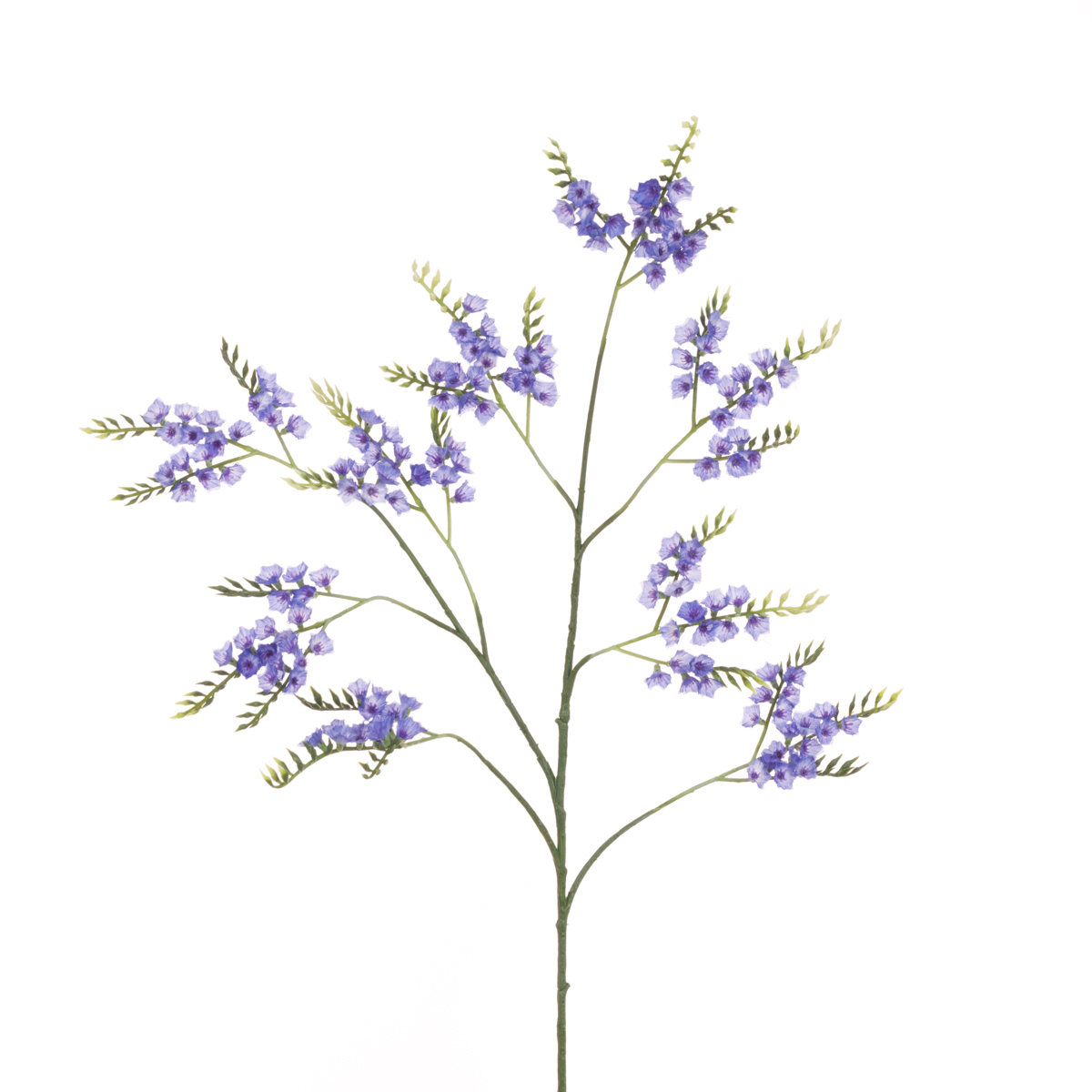 Sea Lavender (Statice) Spray 79cm Blue-0