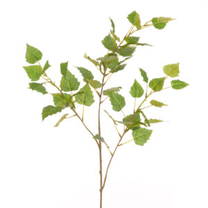 Birch Leaves Spray 99cm Green-0