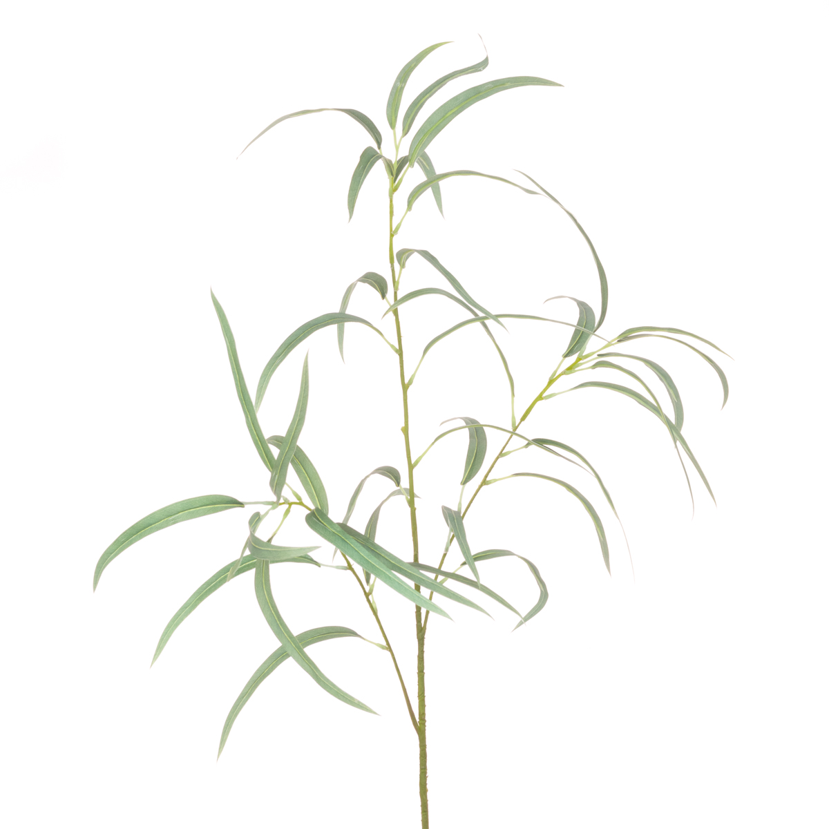 Long Leaf Eucalyptus Spray 91cm-0