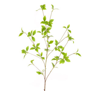 Wild Honeysuckle Spray 109cm-0