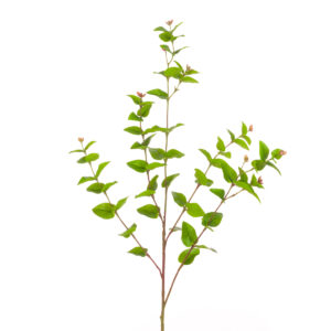 Hypericum Leaf Spray 83cm Green-0