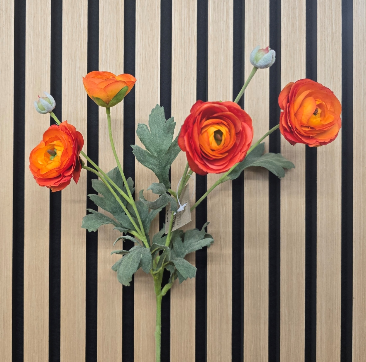 ECO Ranunculus Spray 67cm Orange
