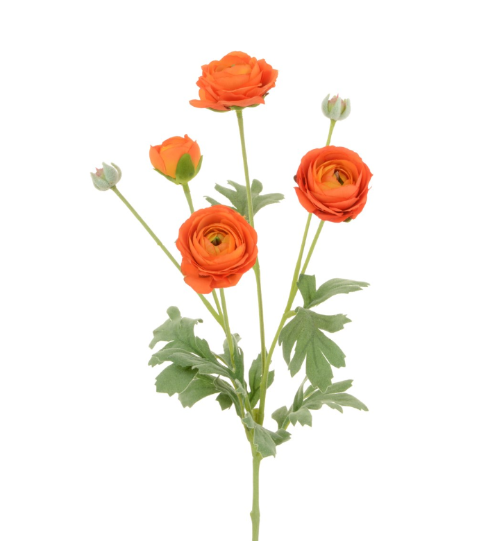 ECO Ranunculus Spray 67cm Orange