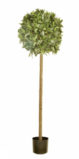 140cm Bay Topiary In Plastic Pot-0