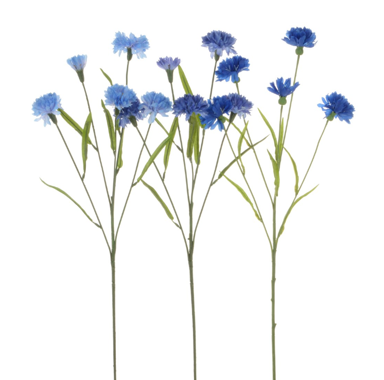 Cornflower Assorted Blue's-0