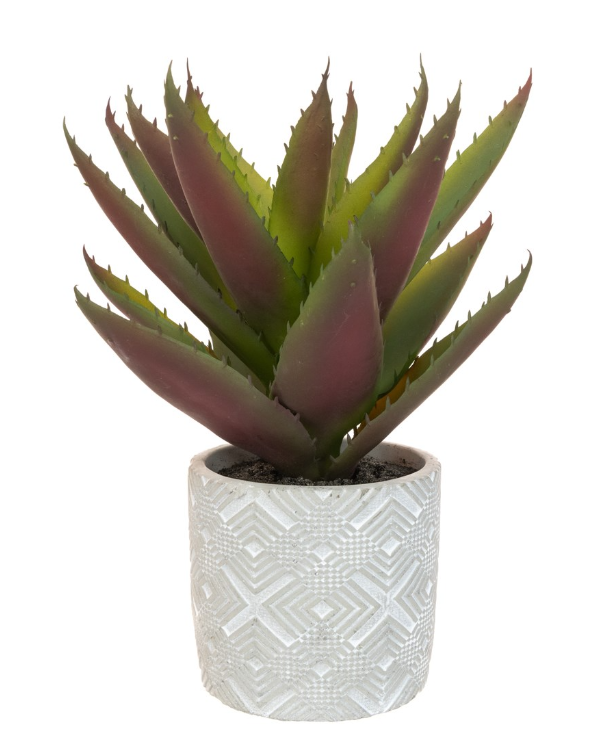Aloe In Geometric Pot 30cm-0