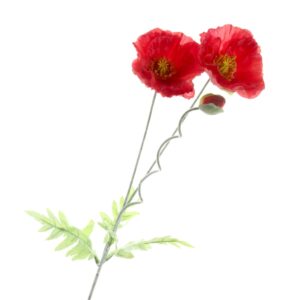 Large Poppy Stem - Red (2 heads & 1 bud, 70cm long)-0