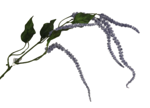 111cm Amaranthus Spray Lt Blue-0