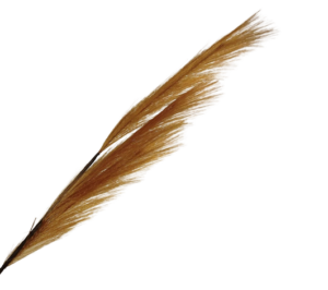 82cm Pampas Grass (Artificial) Spray Copper-0