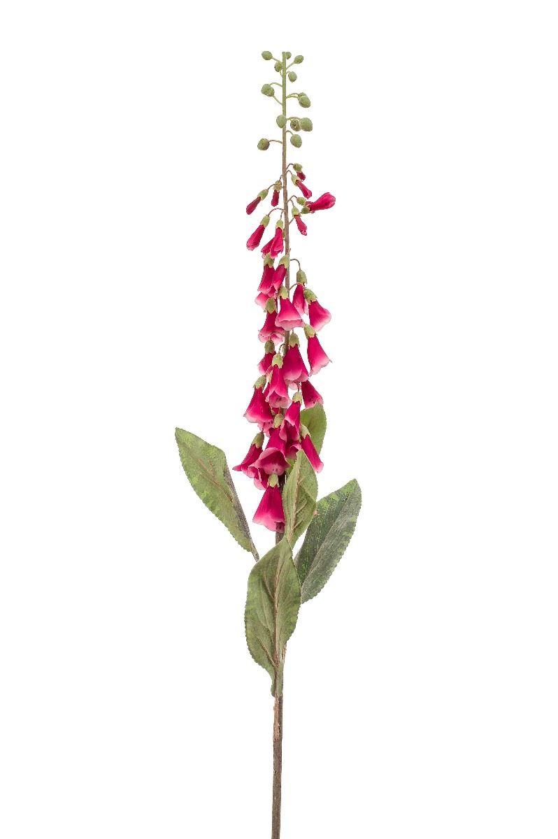 Digitalis Spray Fuchsia 120cm-0