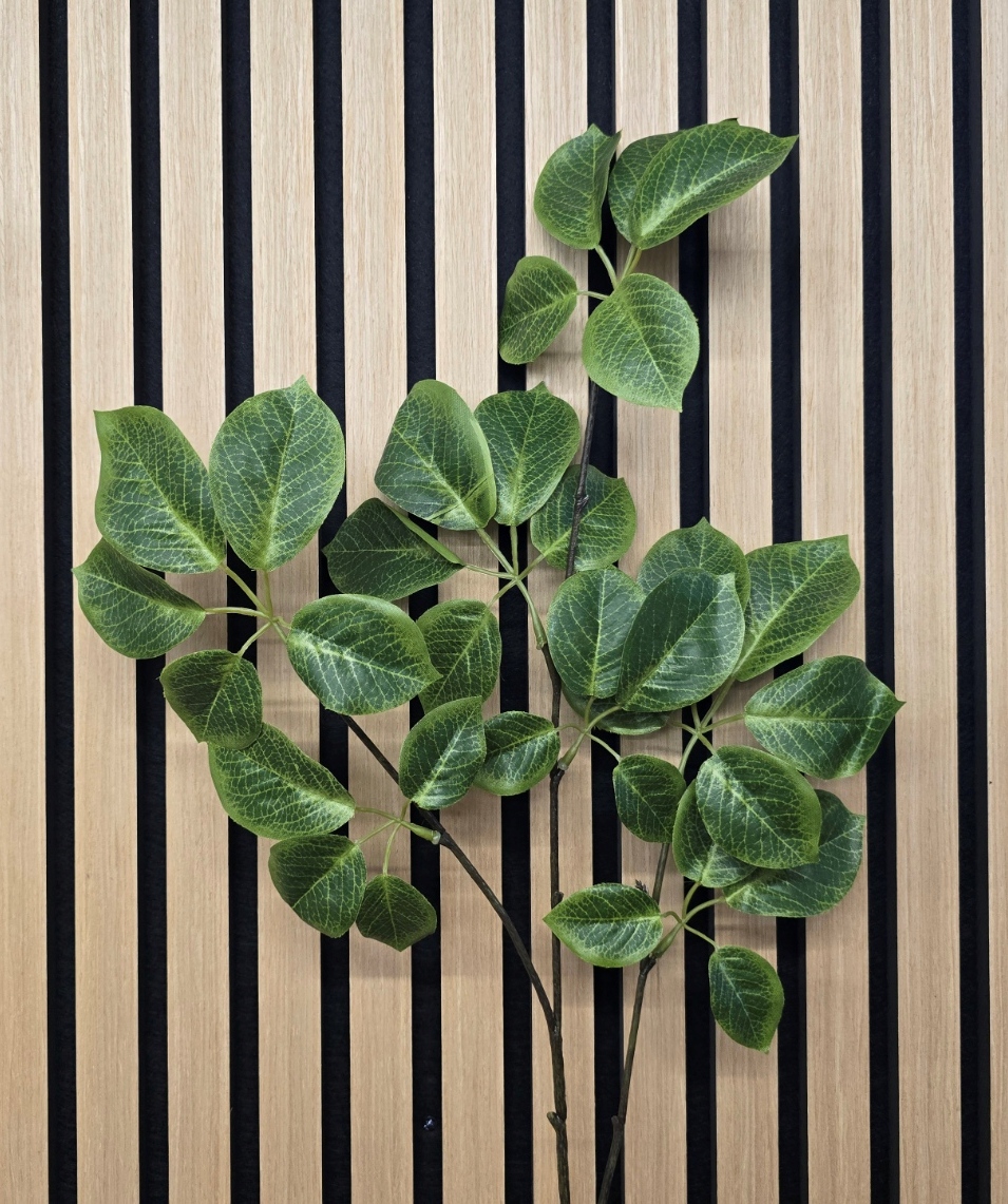 Baby Schefflera Spray Green 87cm